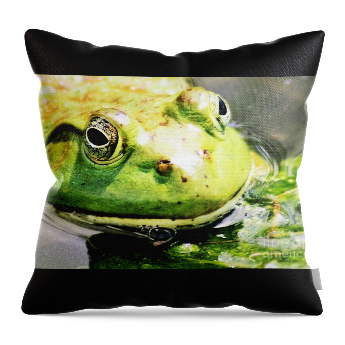 Frog Throw Pillow featuring the photograph Frog Close Up by Nick Gustafson