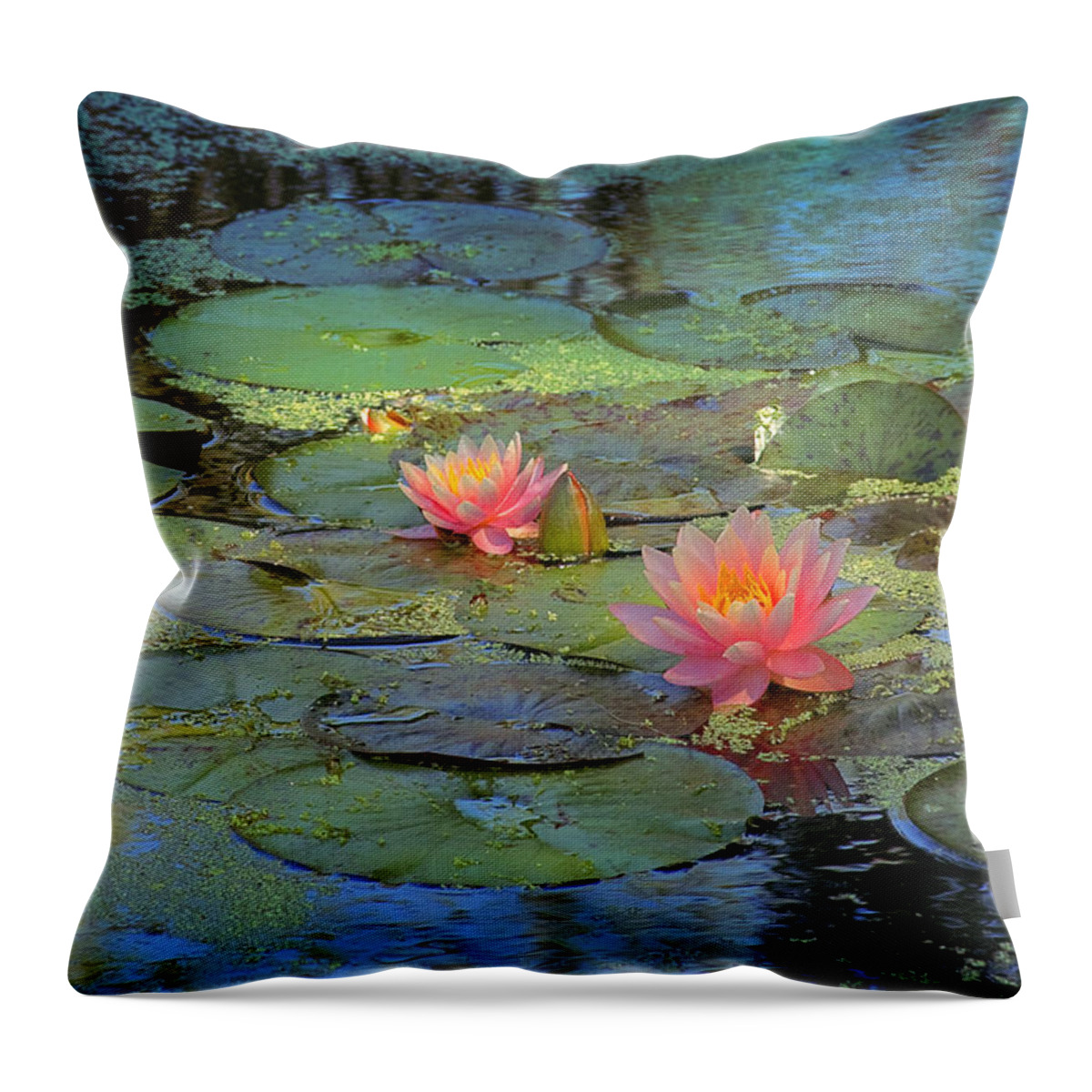 Pond Throw Pillow featuring the digital art Frog Creek by Kathy Besthorn