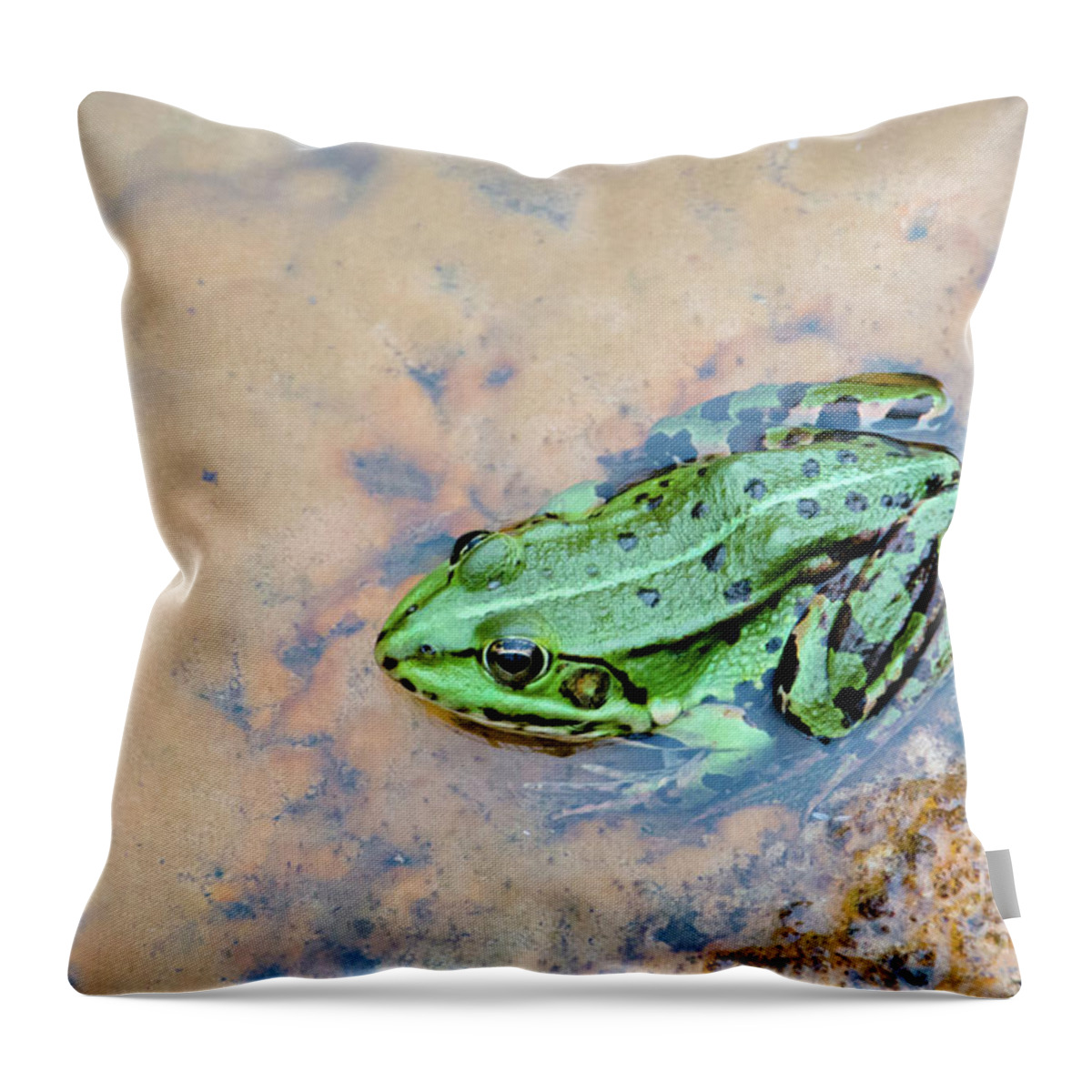 Active Throw Pillow featuring the photograph Frog in a pond by Amanda Mohler
