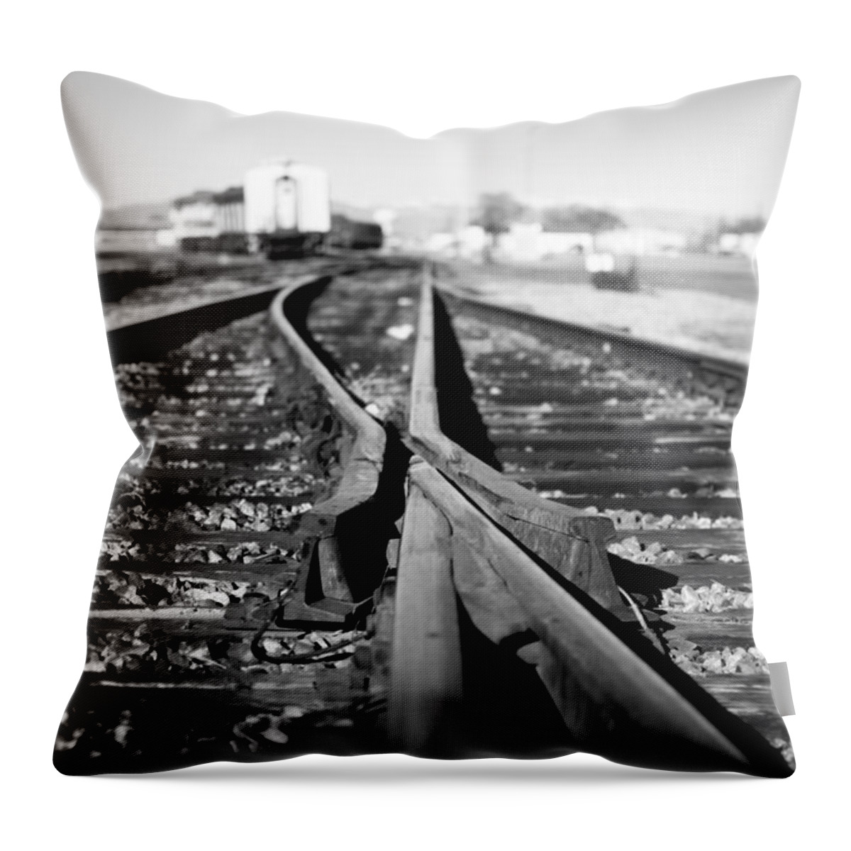 Frog Throw Pillow featuring the photograph Frog by Stephen Holst