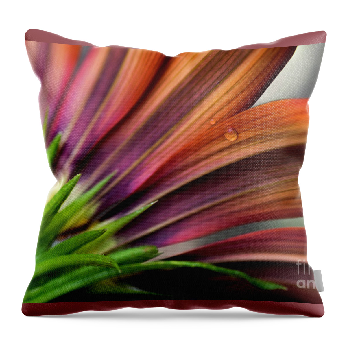 From Throw Pillow featuring the photograph From Behind by Wendy Wilton