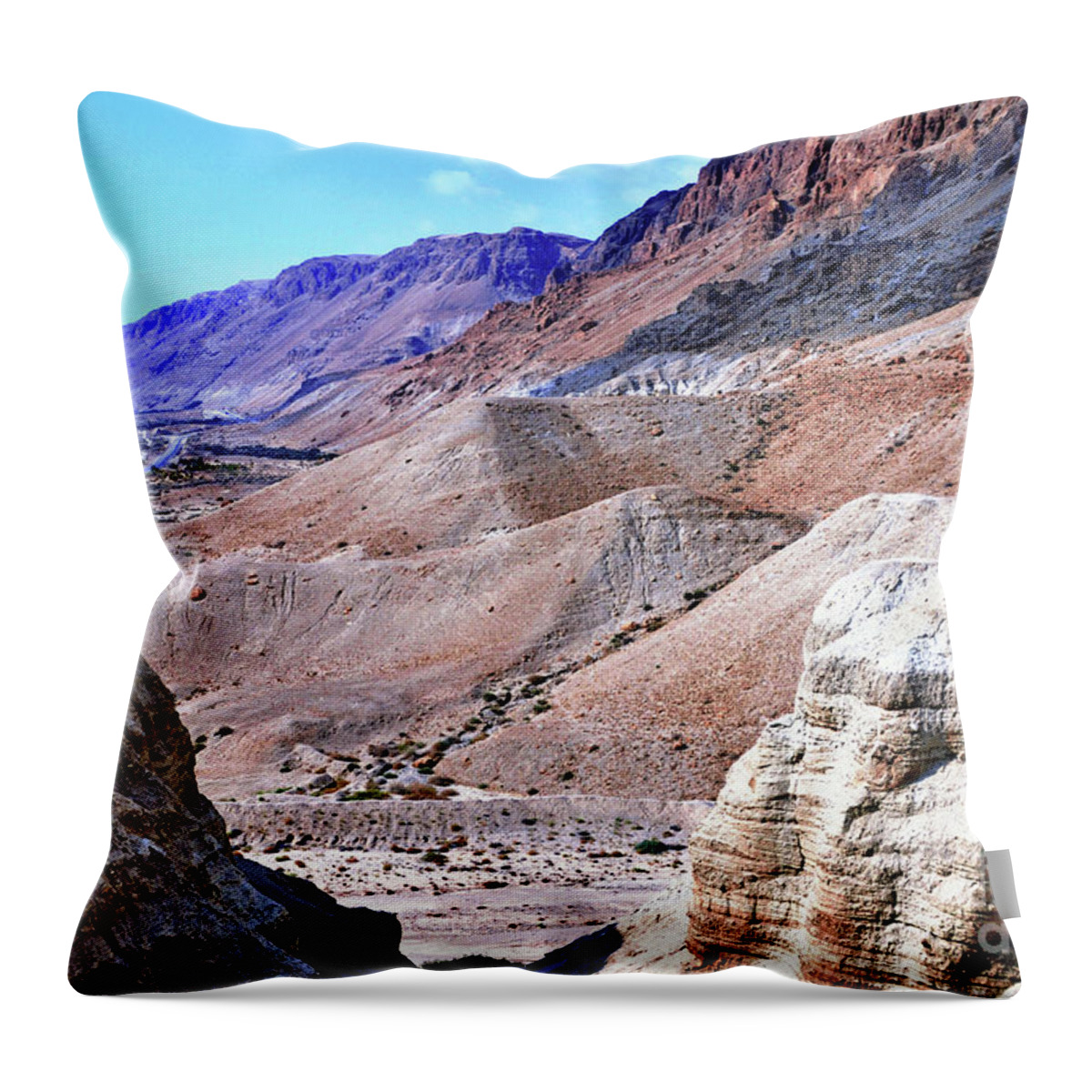 Desert Throw Pillow featuring the photograph From Desert To Sea by Lydia Holly