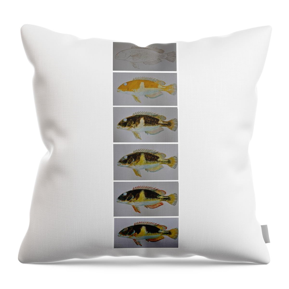 Choerodon Anchorago Throw Pillow featuring the painting From here to anchorago by Eduard Meinema