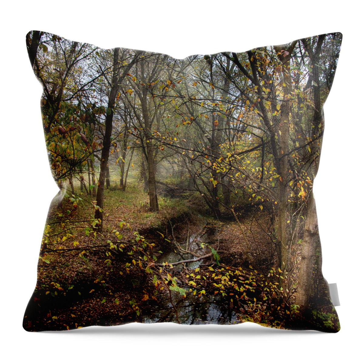 From Snow That Melted Only Yesterday Throw Pillow featuring the photograph From Snow That Melted Only Yesterday by William Fields