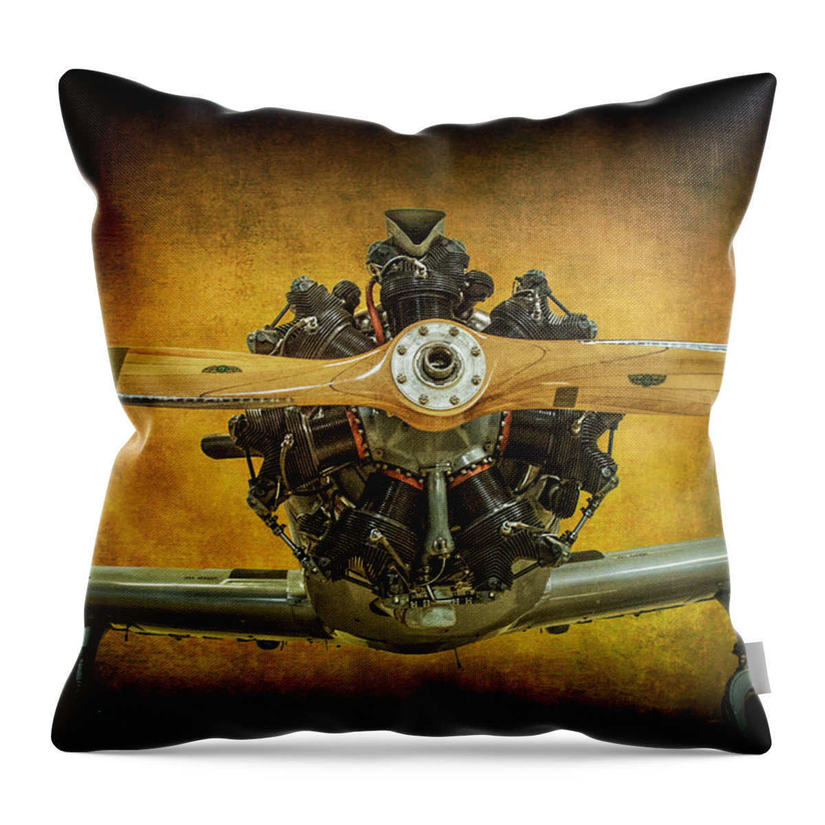Airplane Throw Pillow featuring the photograph Front End of a Fairchild PT-23 Cornell Monoplane Trainer by Randall Nyhof