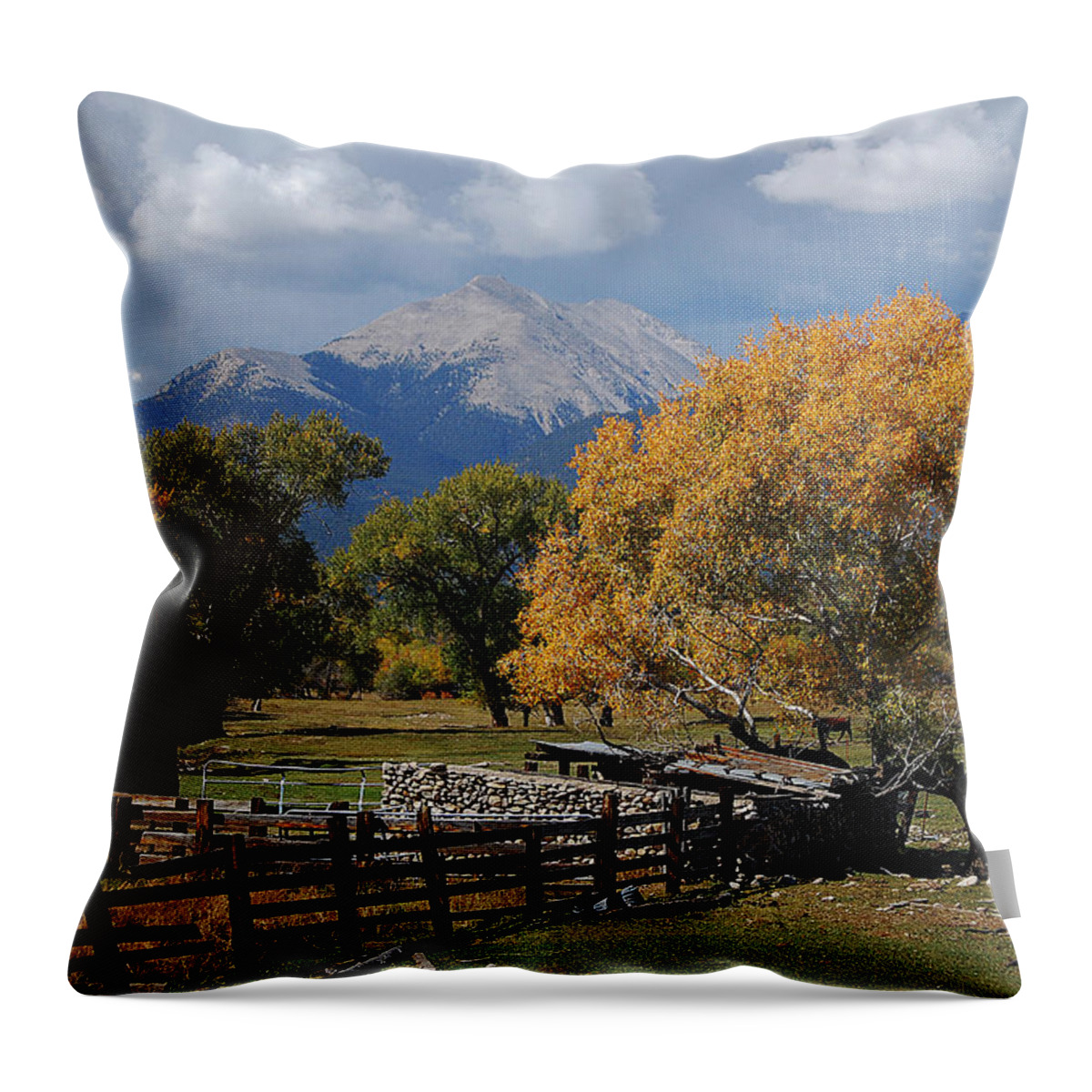 Range Throw Pillow featuring the photograph Front Range Homestead by Steve Marler