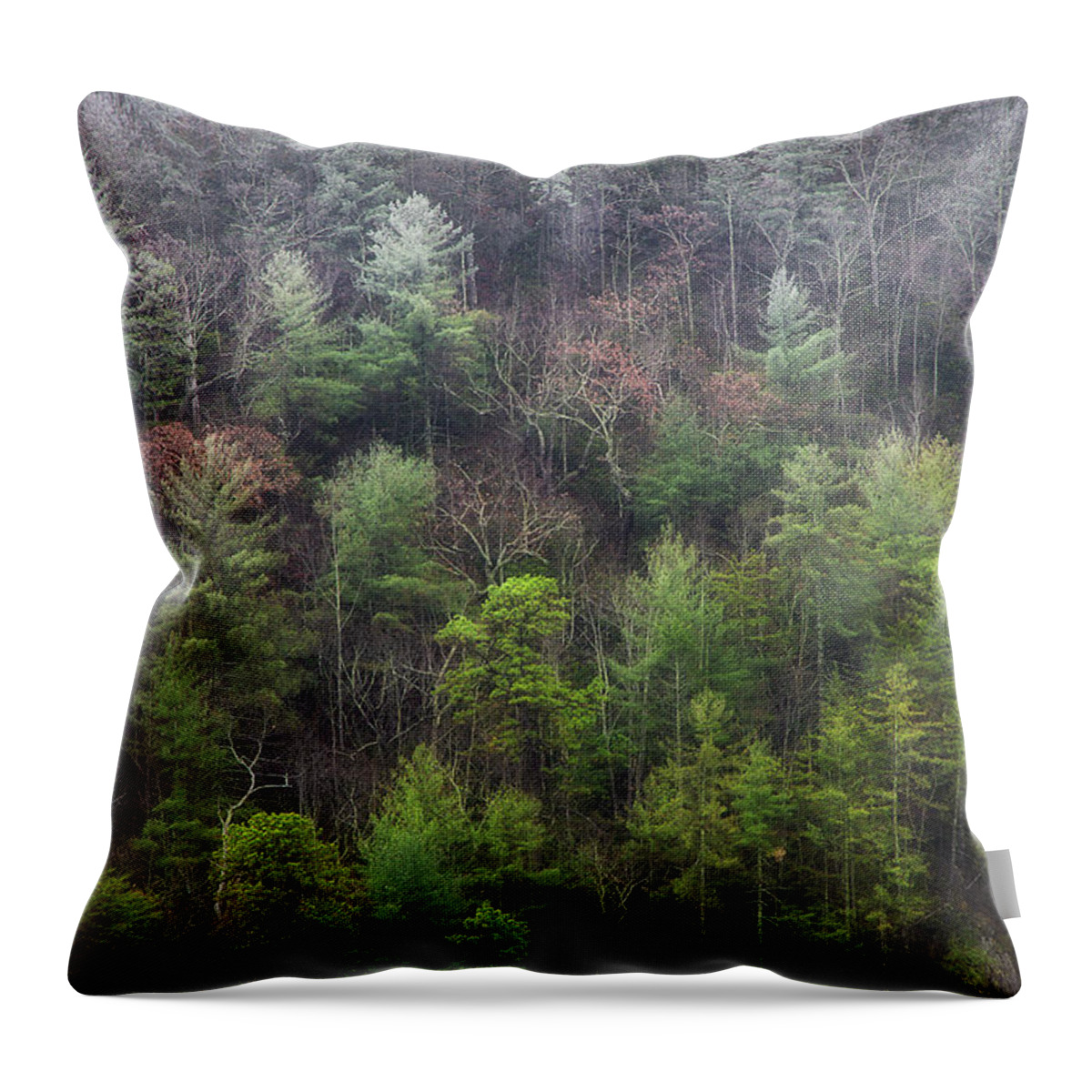 Frost Throw Pillow featuring the photograph Frost Line by Mike Eingle
