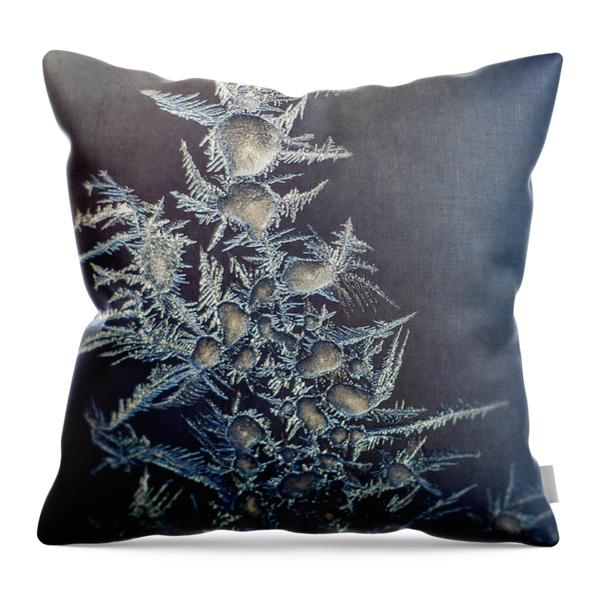 Frozen Throw Pillow featuring the photograph Frost by Scott Norris