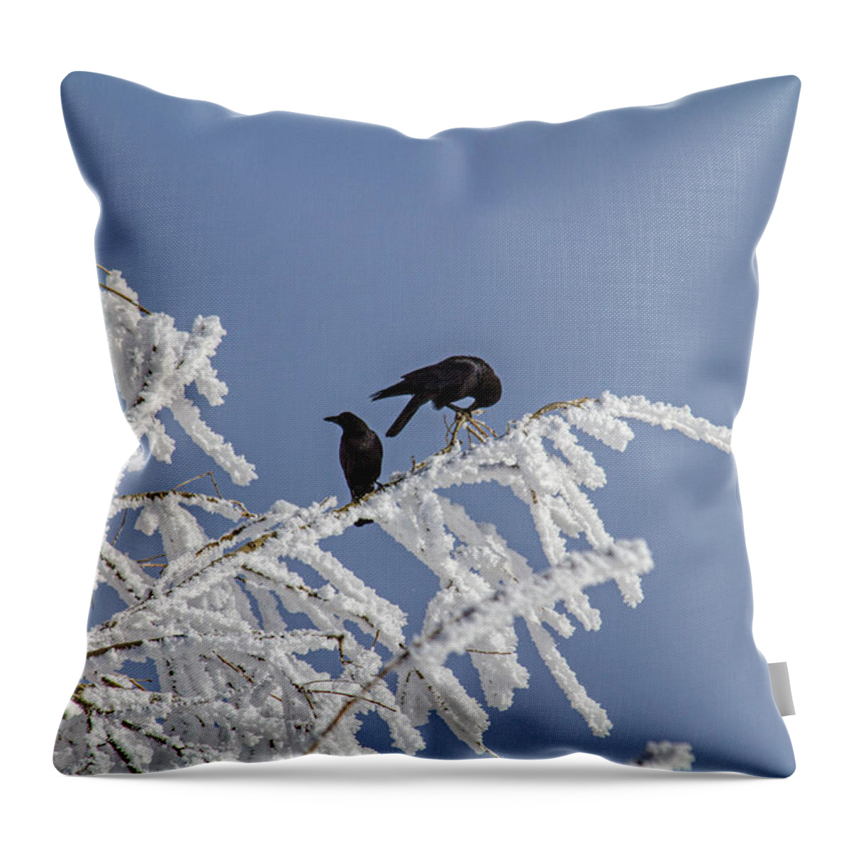 Frost Throw Pillow featuring the photograph Frosted and Crowed by Alana Thrower