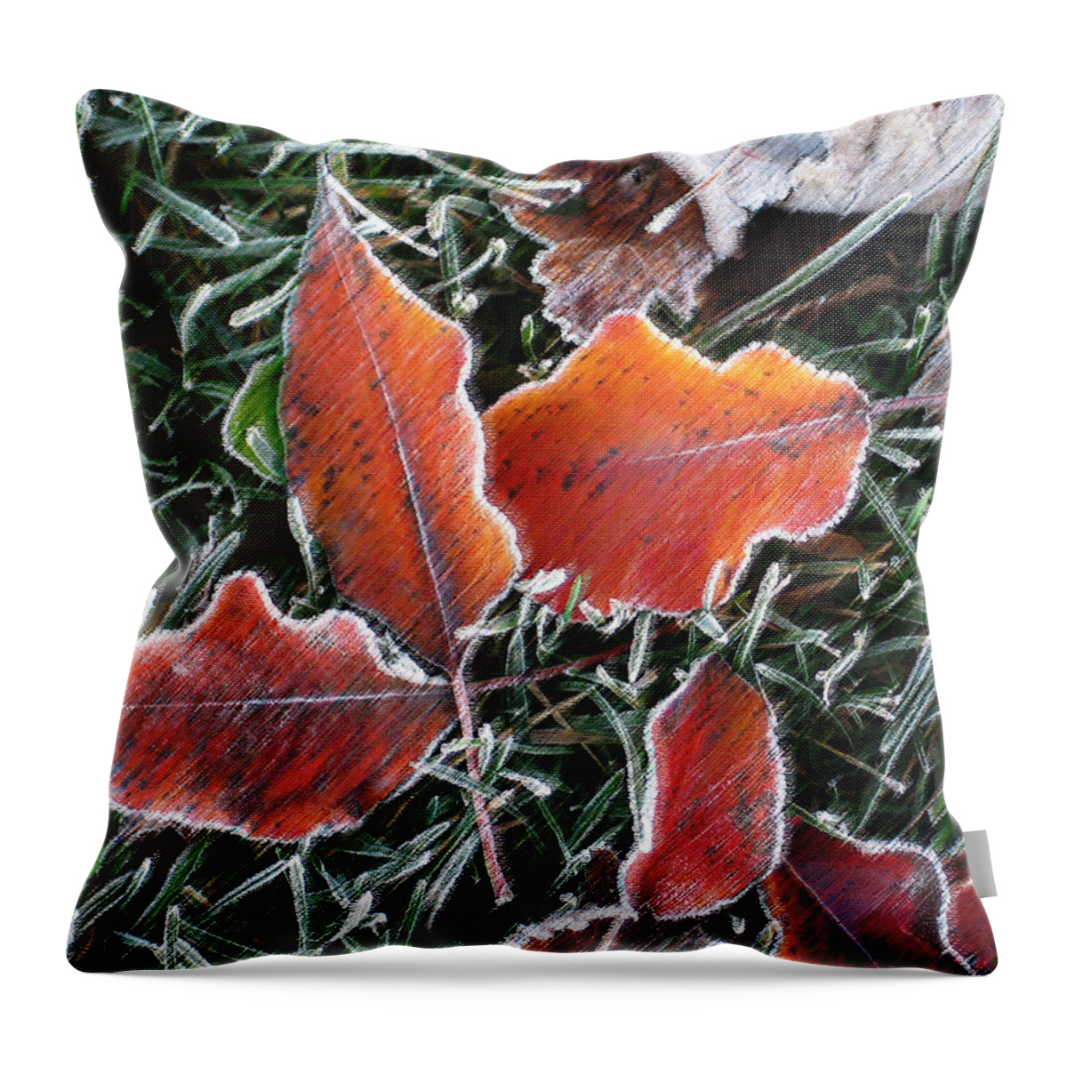 Leaves Fall Leaf Orange Red Nature Digital Art Throw Pillow featuring the photograph Frosted Leaves by Shari Jardina