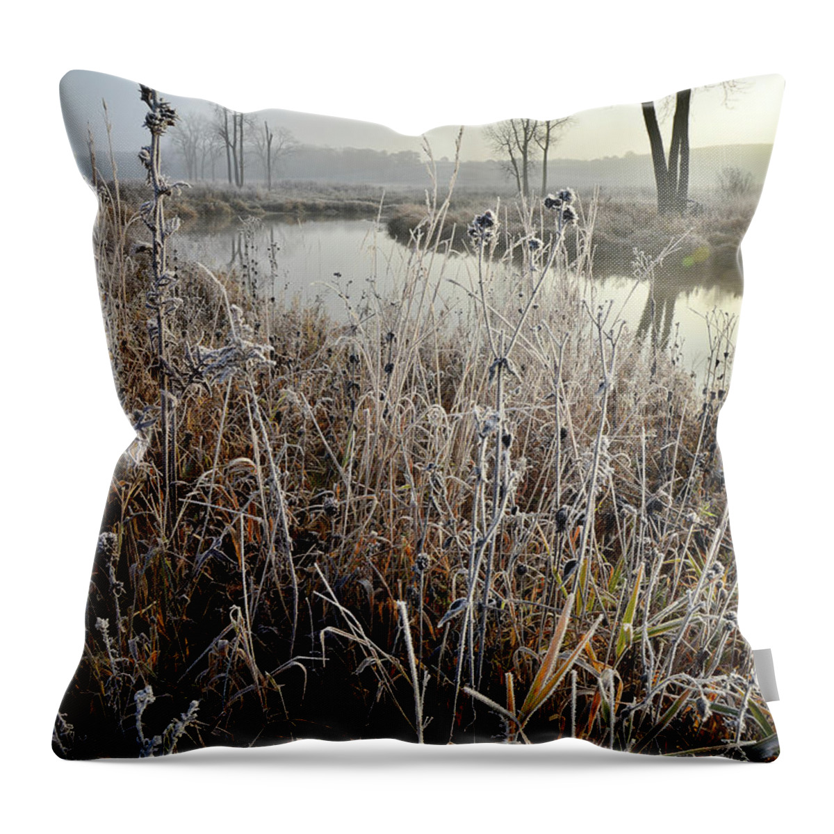 Glacial Park Throw Pillow featuring the photograph Frosty Big Bend in Nippersink Creek by Ray Mathis