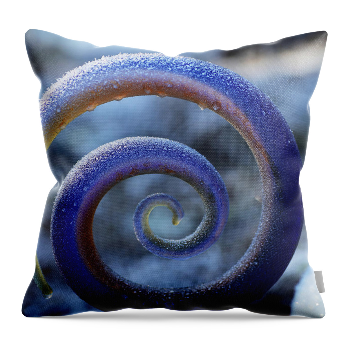 Frozen Throw Pillow featuring the photograph Frosty Glass Swirl by Tammy Pool
