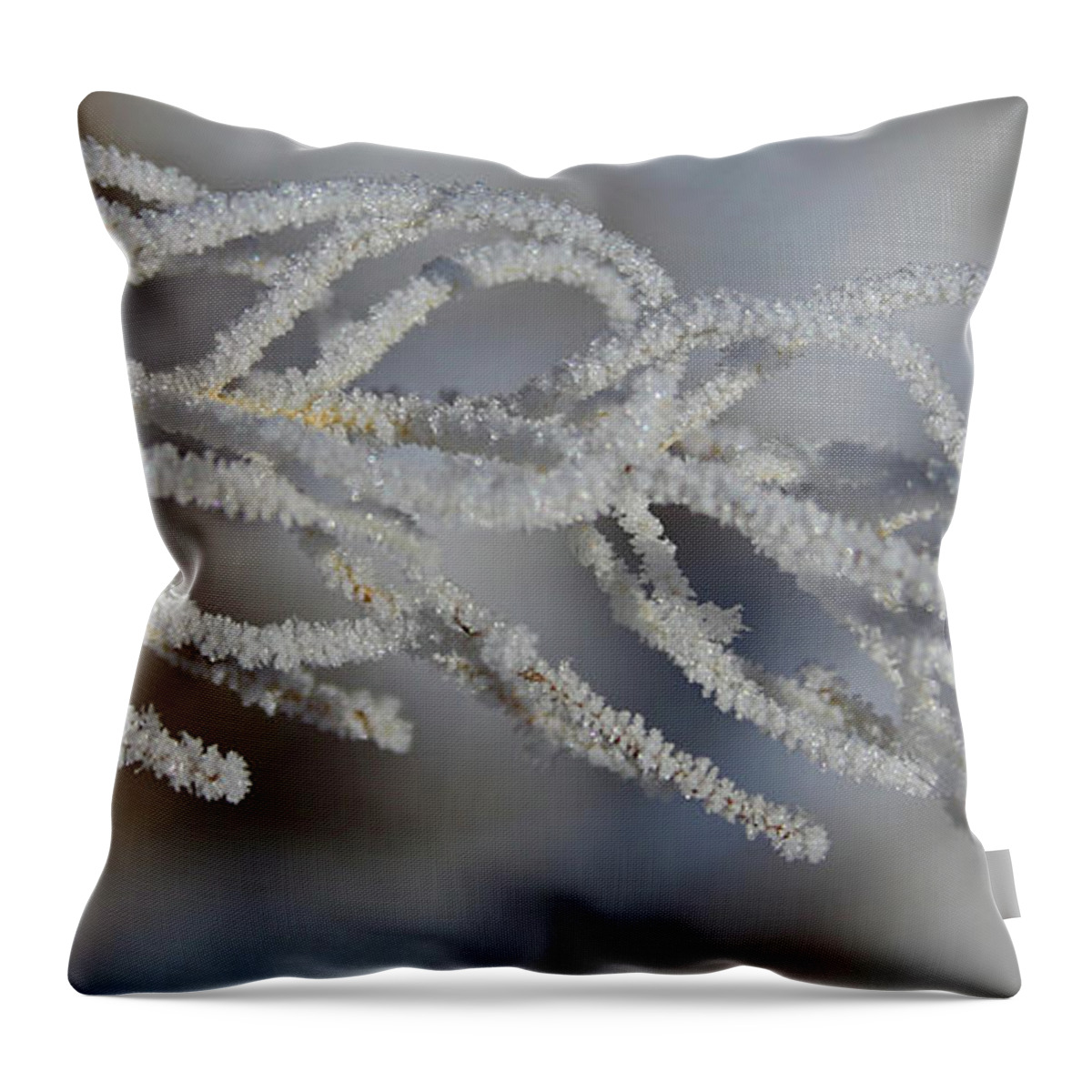 Snowflake Throw Pillow featuring the photograph Frosty by Marty Fancy