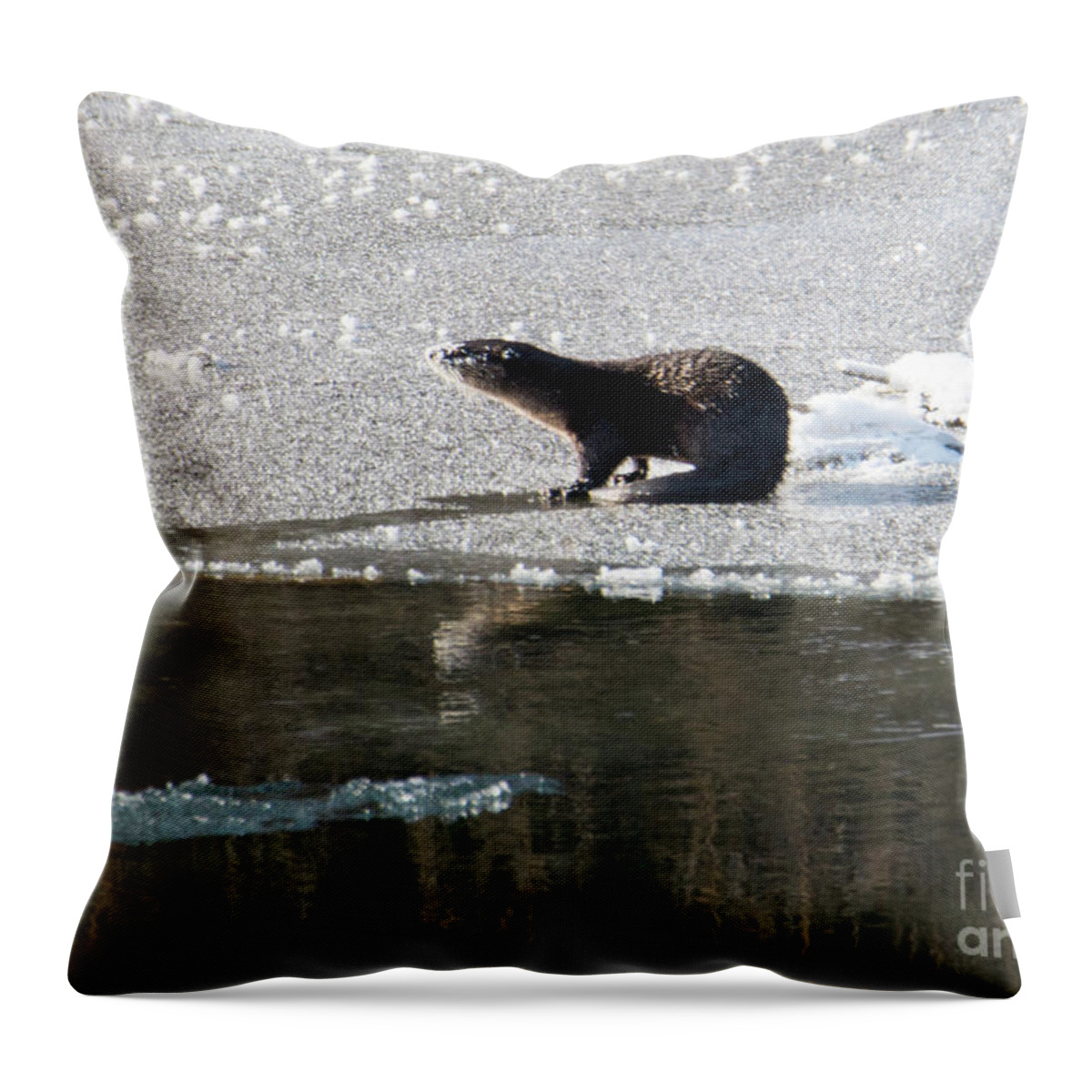 River Otter Throw Pillow featuring the photograph Frosty River Otter by Michael Dawson