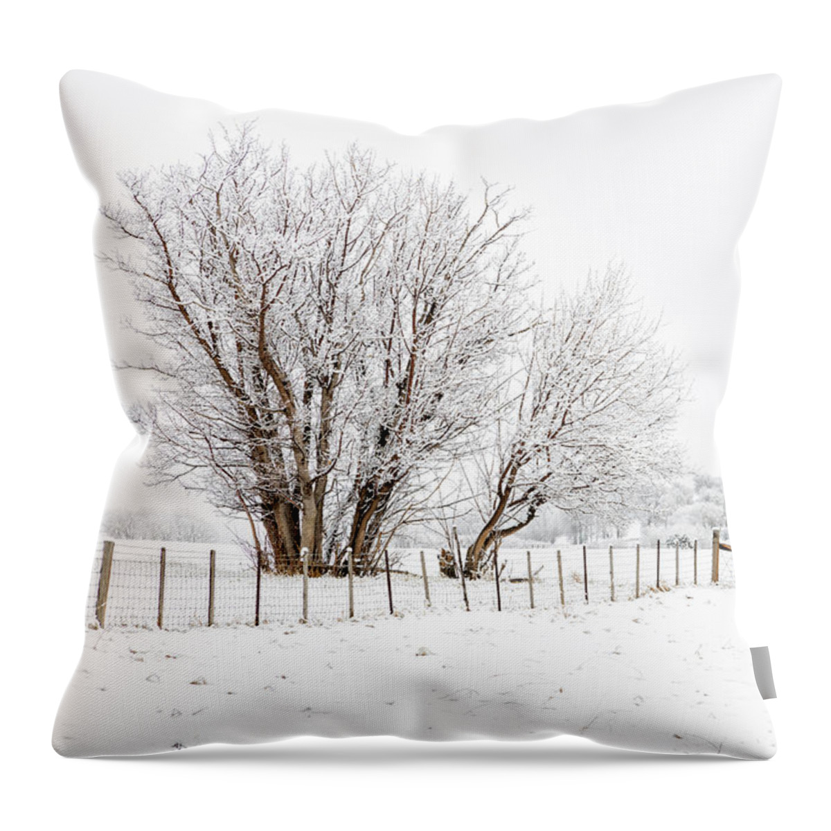 Tree Throw Pillow featuring the photograph Frosty Winter Scene by Denise Bush