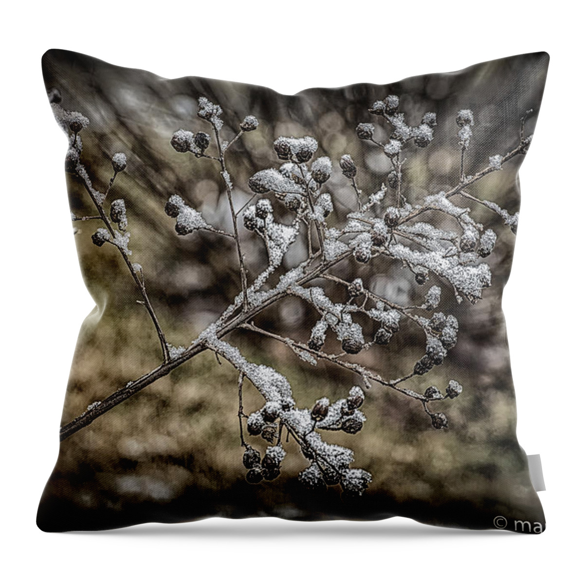Frozen Berries Throw Pillow featuring the photograph Frozen Berries by Mark Peavy