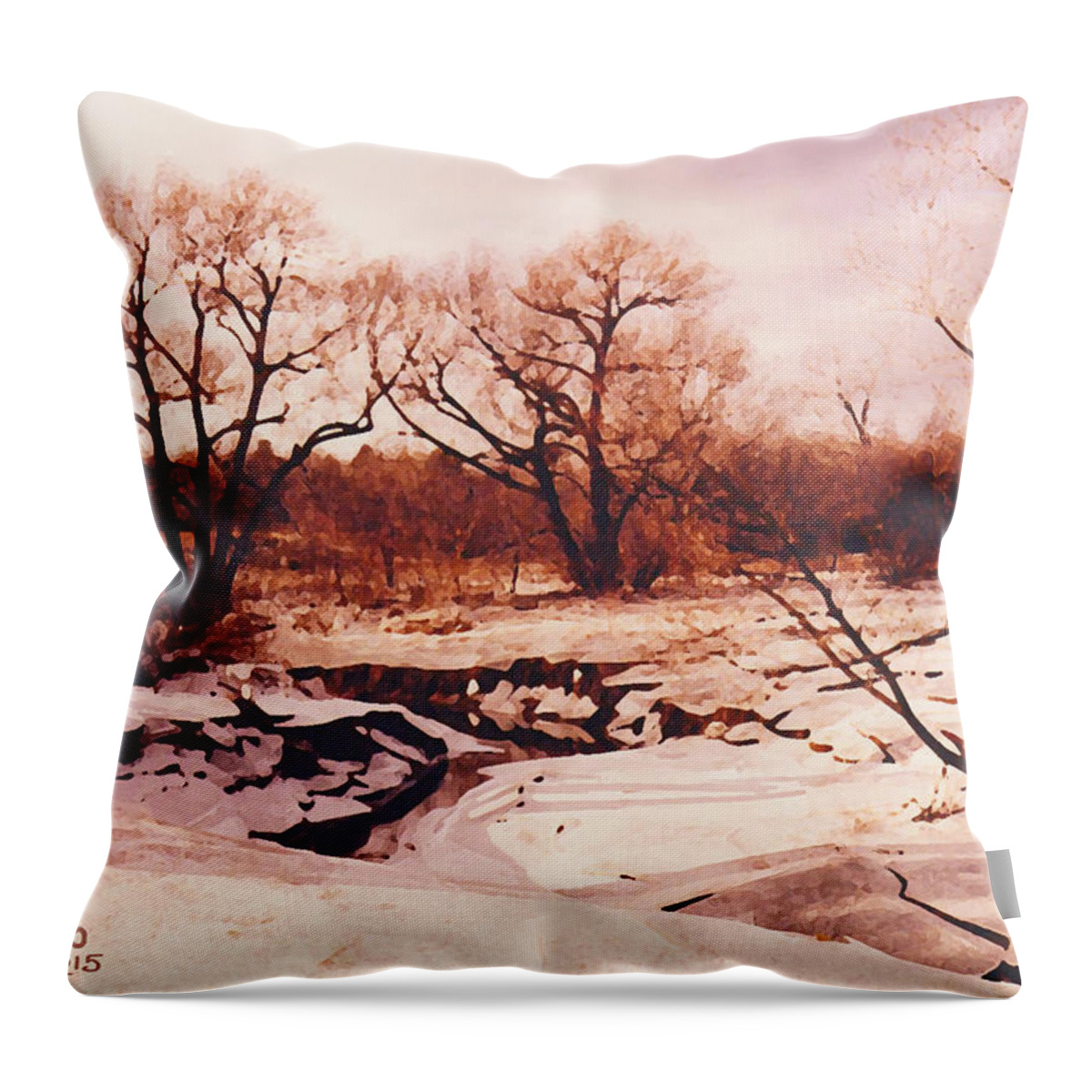 Frozen Creek Throw Pillow featuring the photograph Frozen Creek by Michael A Klein