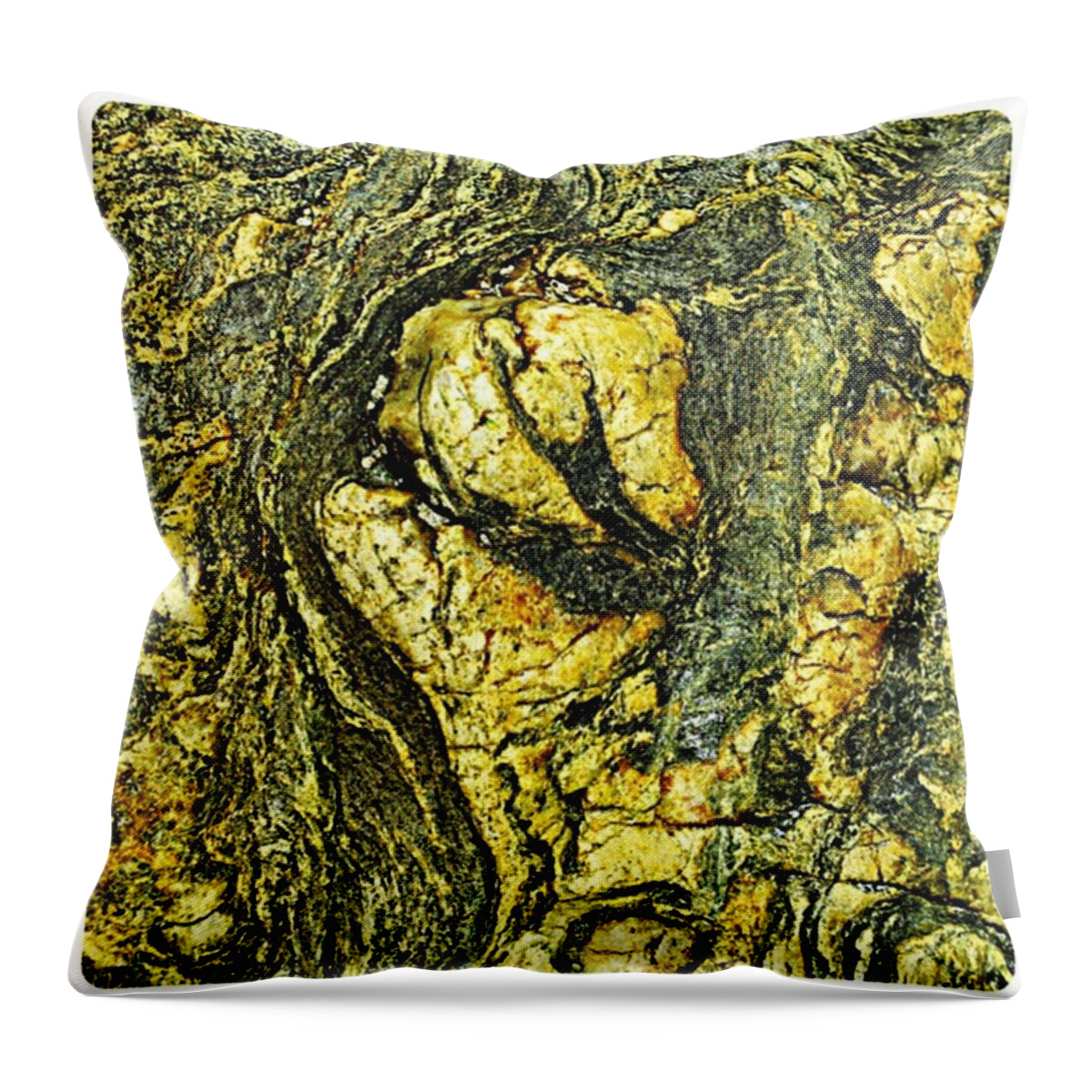 Stones Throw Pillow featuring the photograph Frozen In Stone by Hans Fotoboek