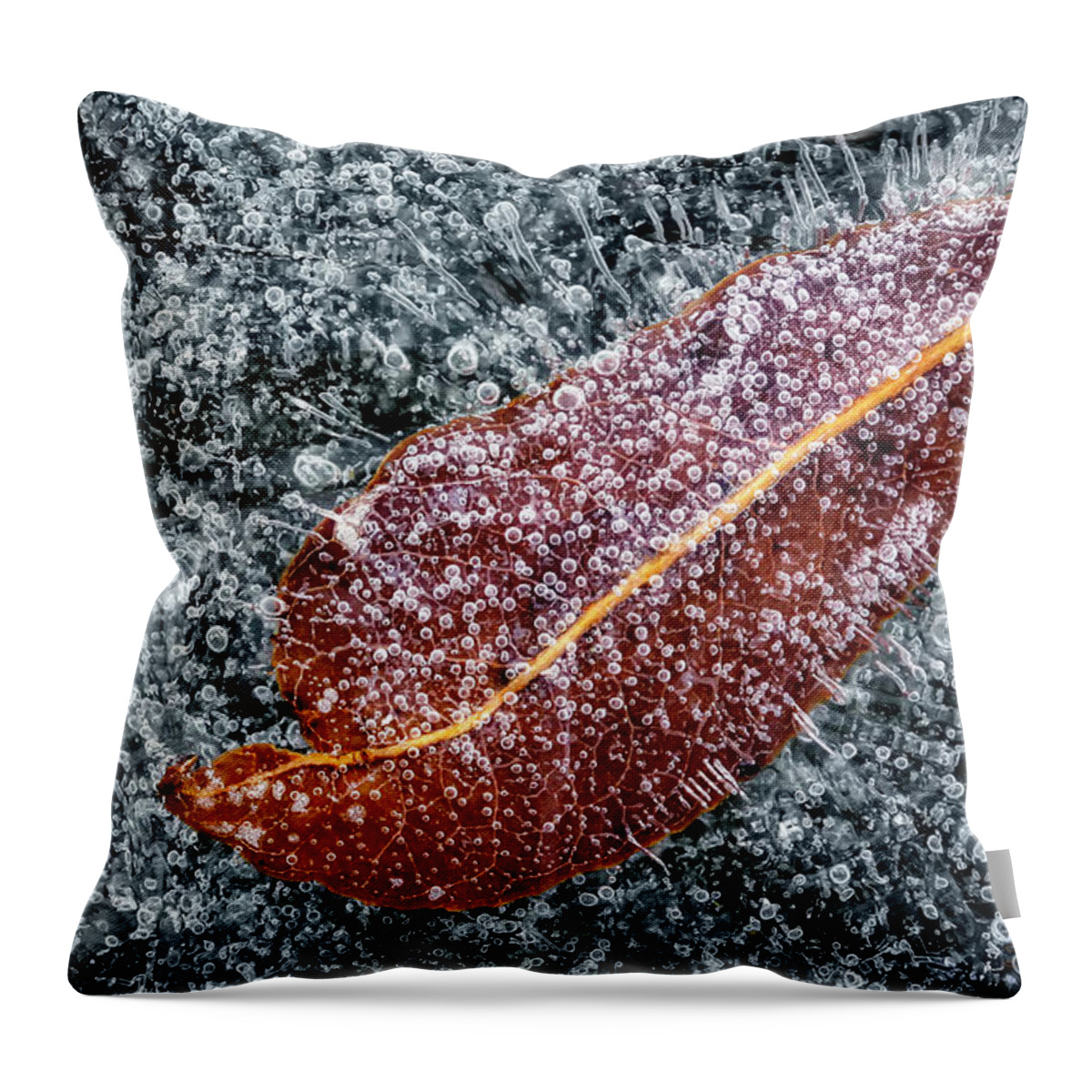 Ice Throw Pillow featuring the photograph Frozen in Time by Steve Sullivan