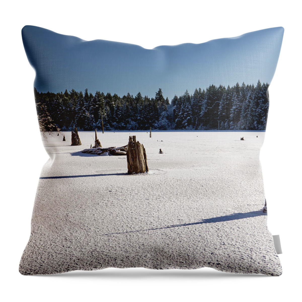 Winter Throw Pillow featuring the photograph Frozen Lake by Inge Riis McDonald