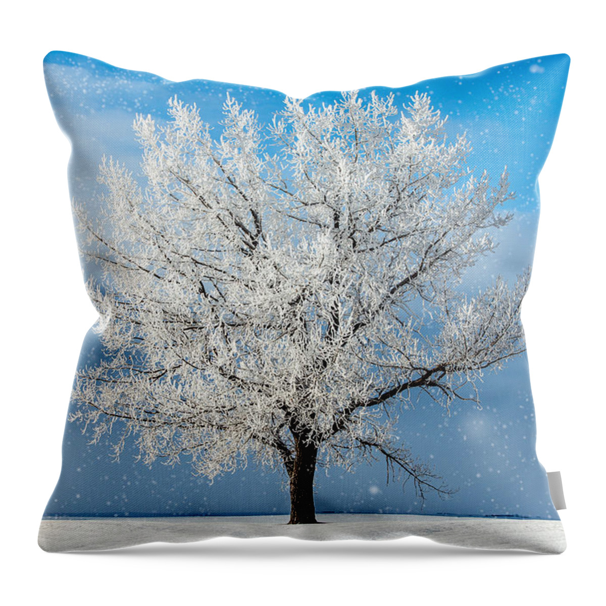 Beautiful Throw Pillow featuring the photograph Frozen Limbs by Todd Klassy