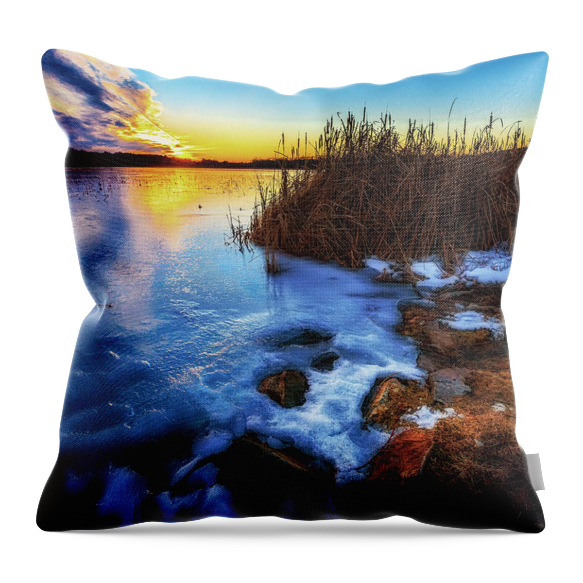 Concord Throw Pillow featuring the photograph Frozen Plume of Great Meadow Sun by Sylvia J Zarco