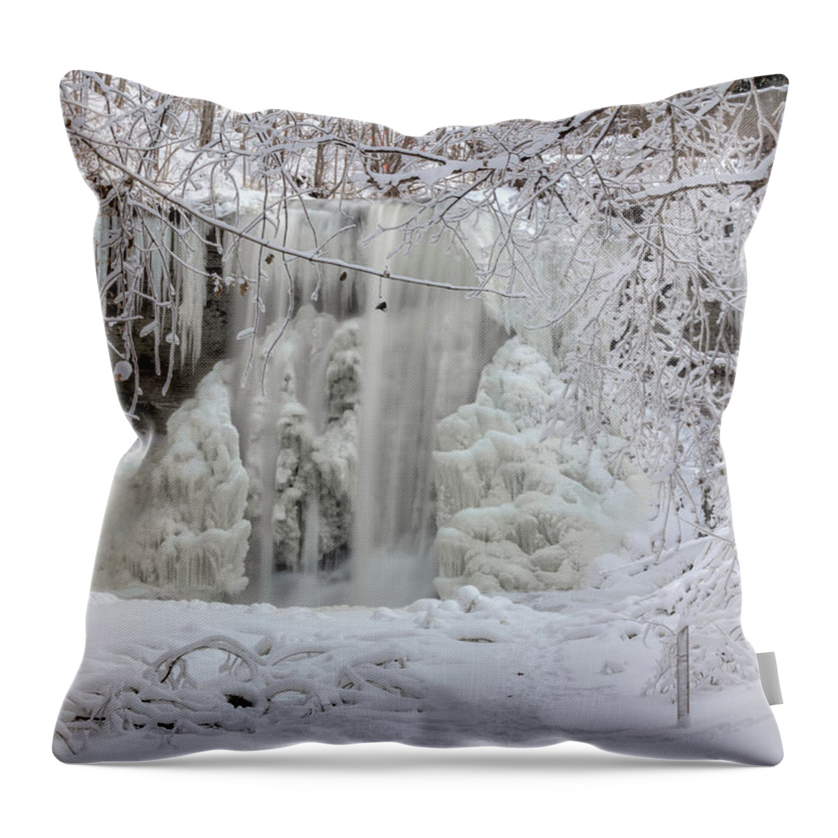 Waterfall Throw Pillow featuring the photograph Frozen by Rod Best
