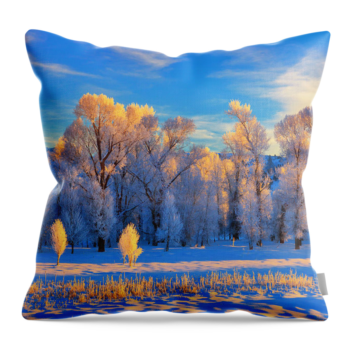 Sunrise Throw Pillow featuring the photograph Frozen Sunrise by Greg Norrell