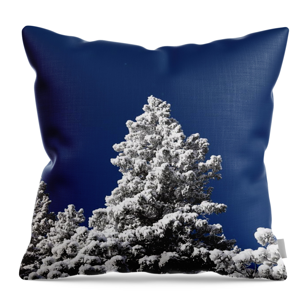 Blue Throw Pillow featuring the photograph Frozen Tranquility Ute Pass COS CO by Margarethe Binkley