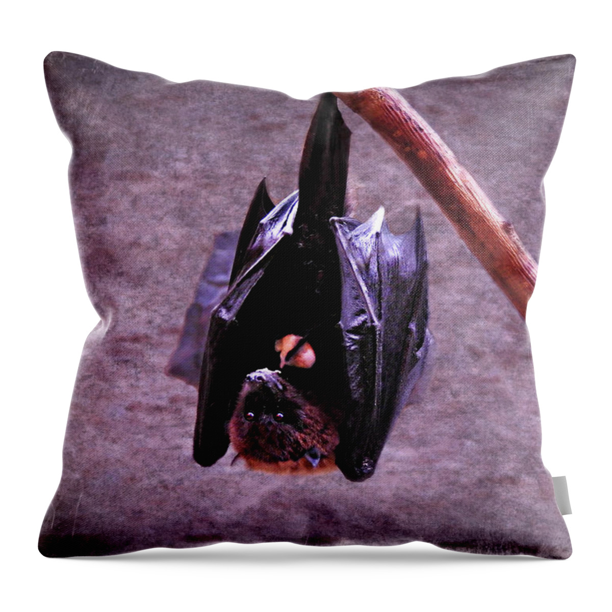 Fruit Bat Throw Pillow featuring the photograph Fruit Bat by Dark Whimsy