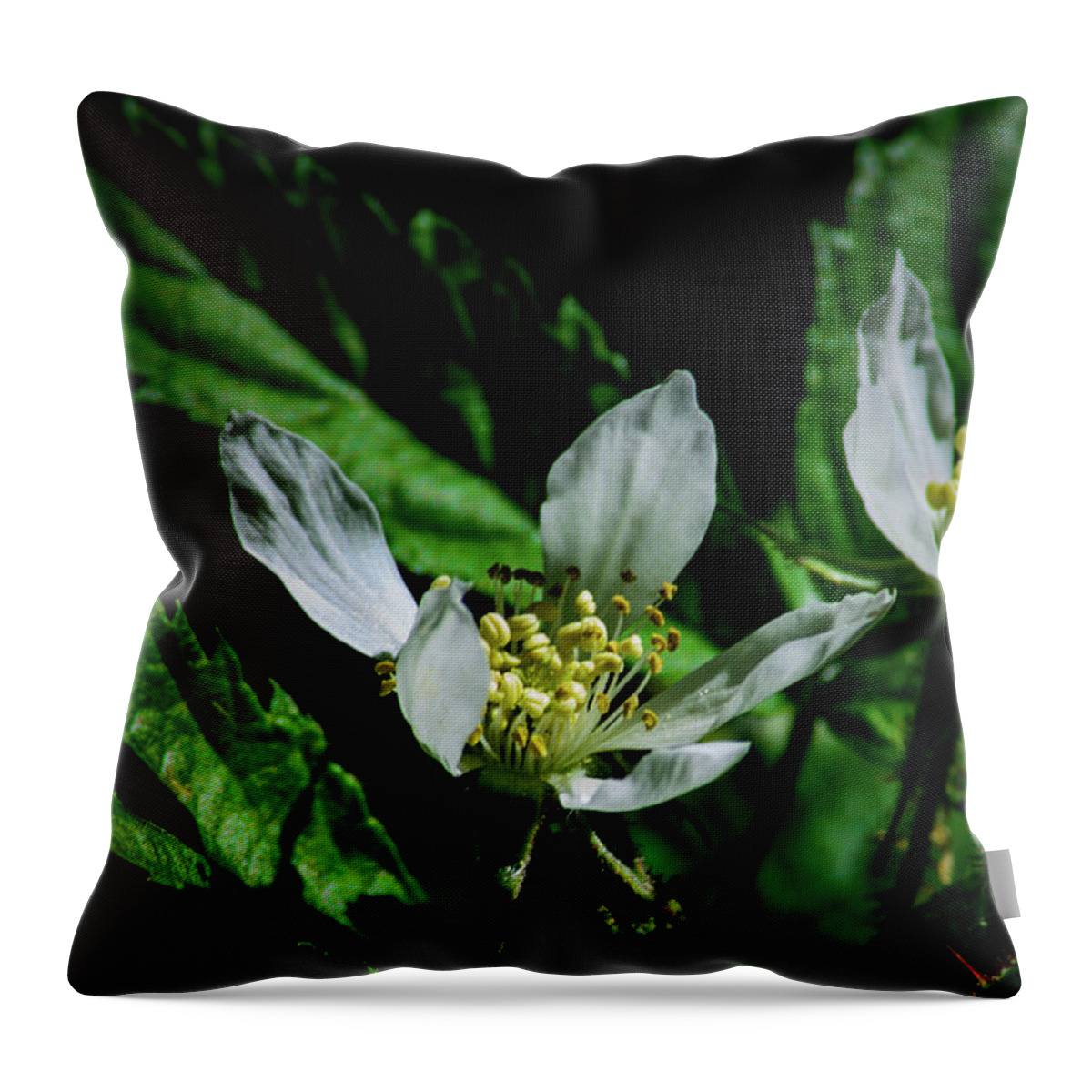 Flower Throw Pillow featuring the photograph Fruit Blossom by Tikvah's Hope