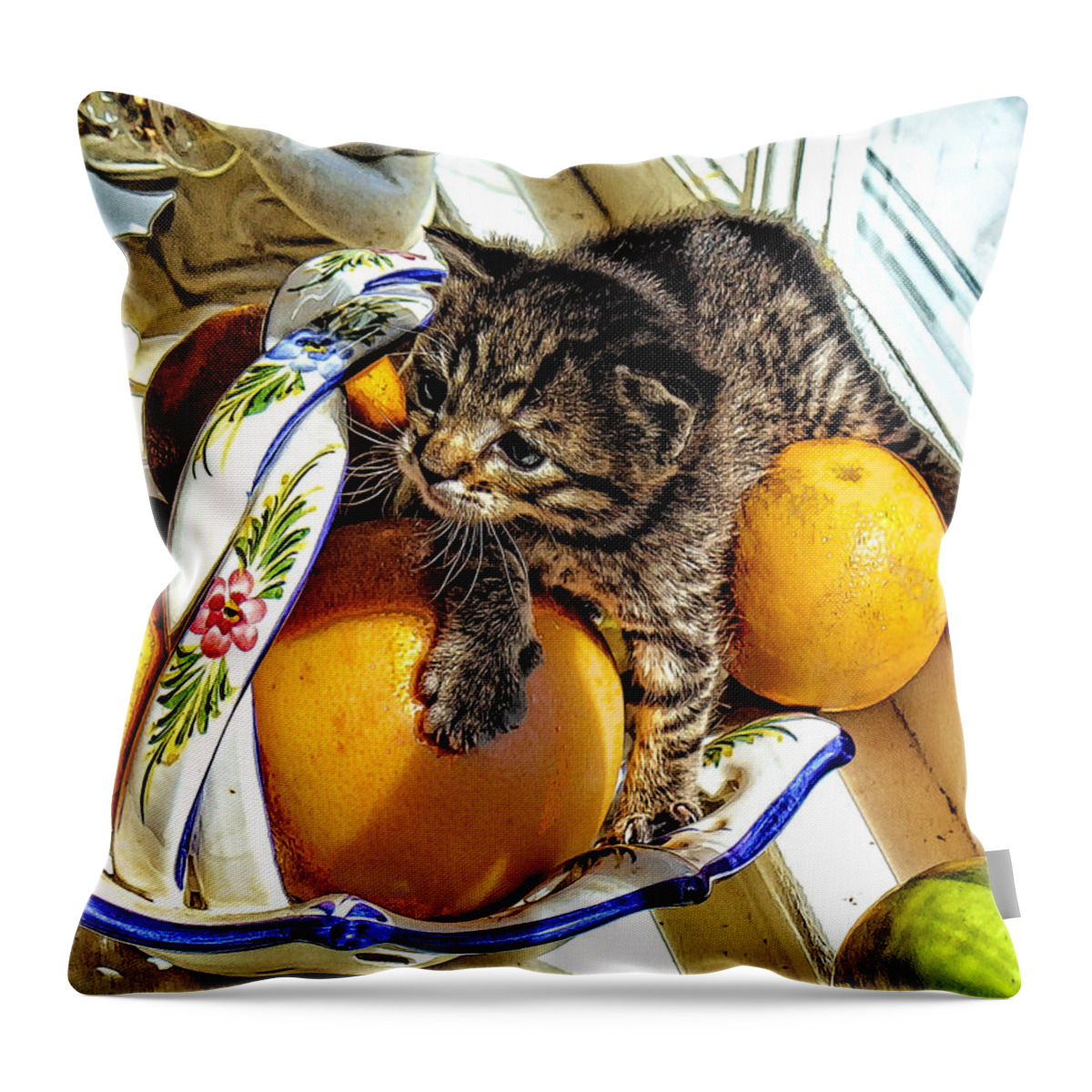 Kitten Throw Pillow featuring the photograph Fruit Bowl Kitten by Constantine Gregory