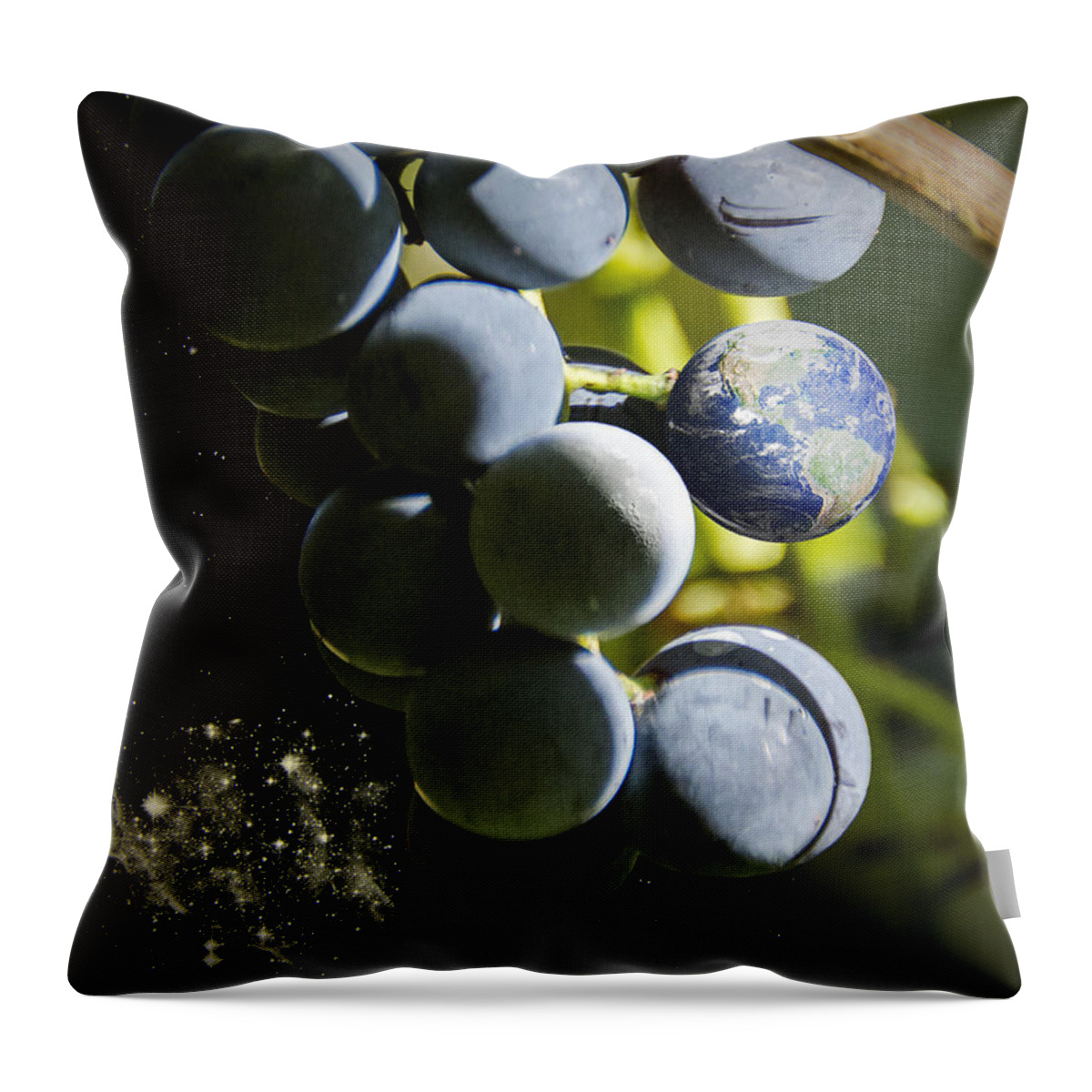 2d Throw Pillow featuring the photograph Fruit Of The Vine by Brian Wallace