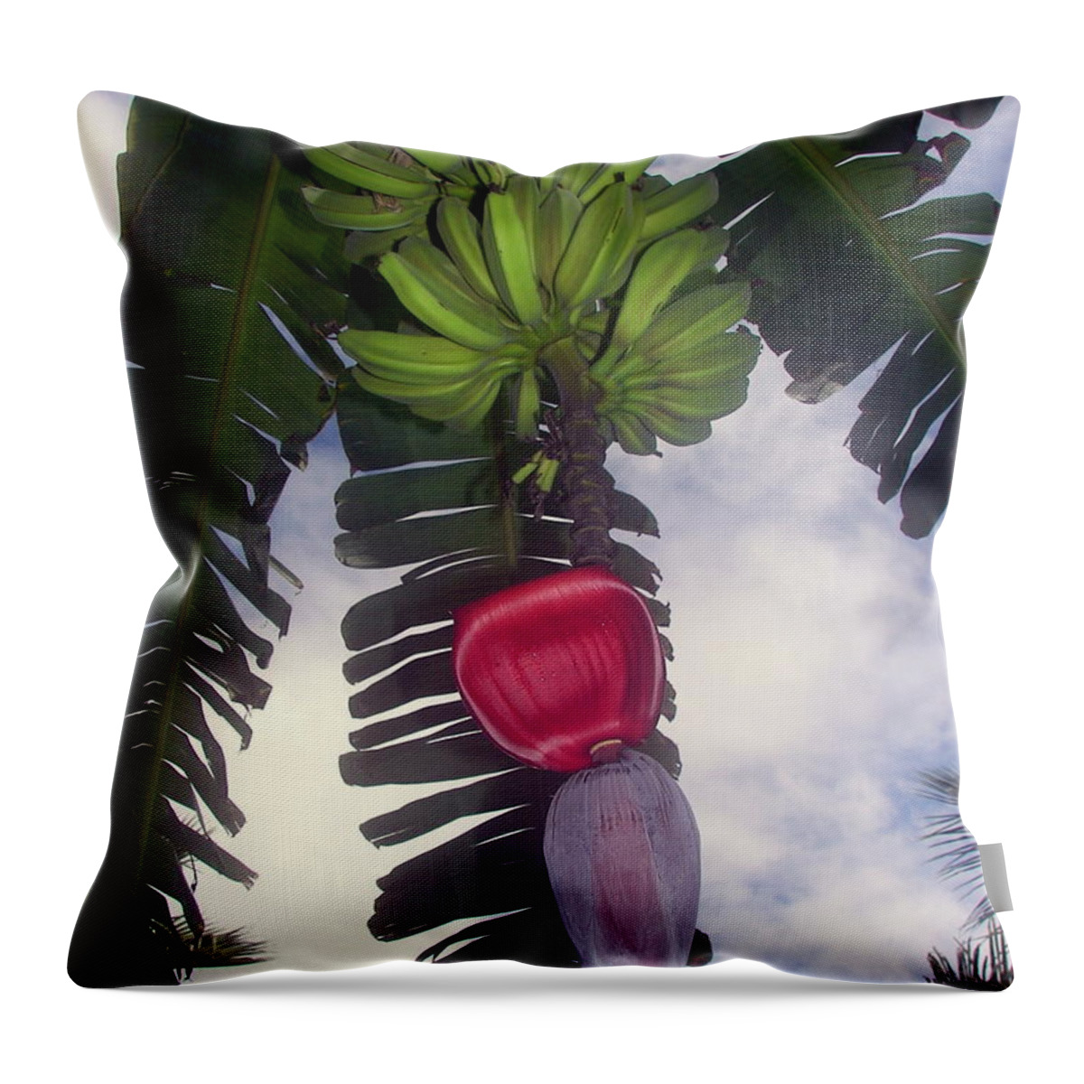 Tropical Throw Pillow featuring the photograph Fruitful Beauty by Karen Wiles