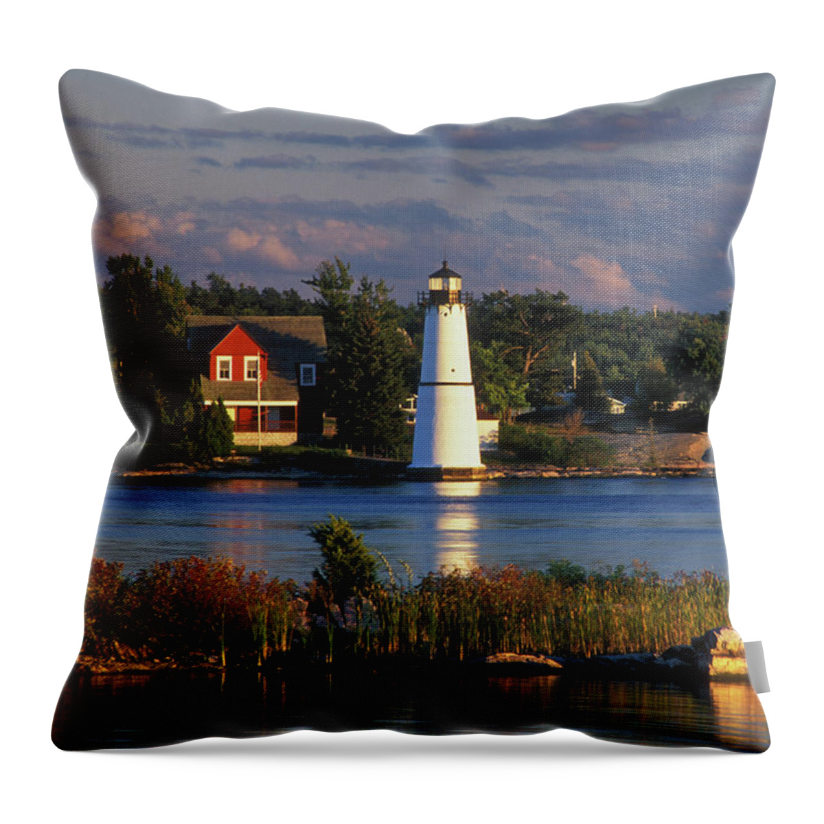 Rock Throw Pillow featuring the photograph Fs000128 by Daniel Dempster