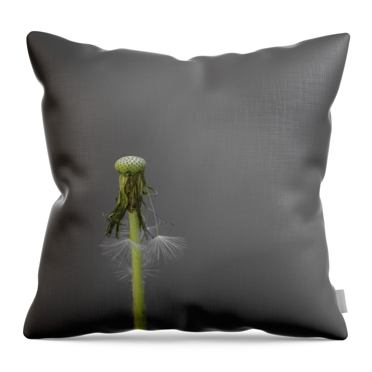 Dandelion Throw Pillow featuring the photograph Fulfilled by Tim Beebe