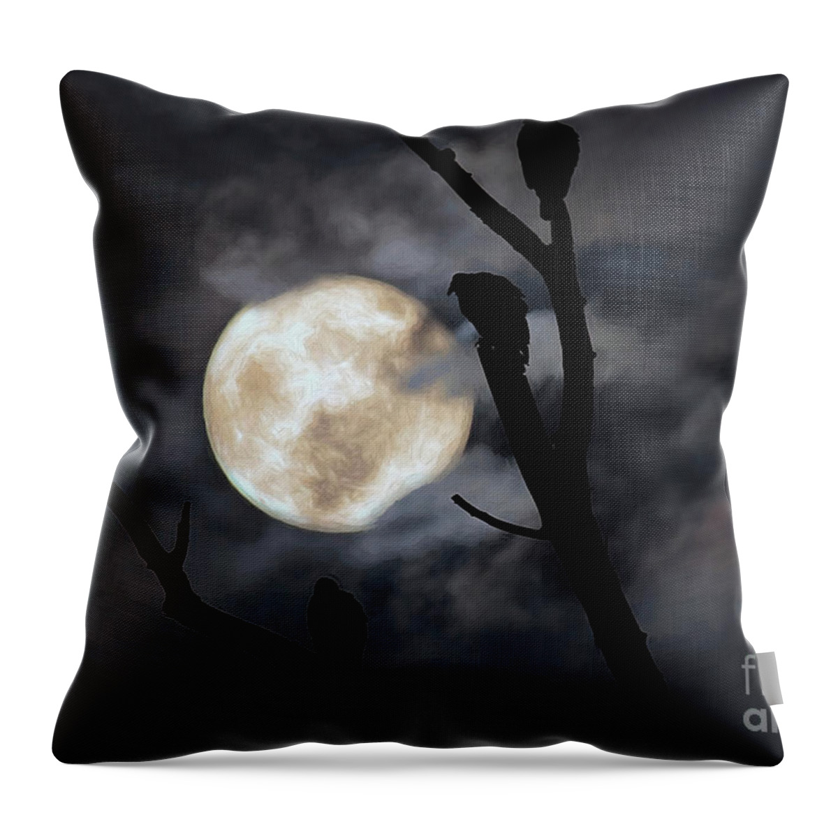 Venue Throw Pillow featuring the photograph Full Moon Committee by Darren Fisher