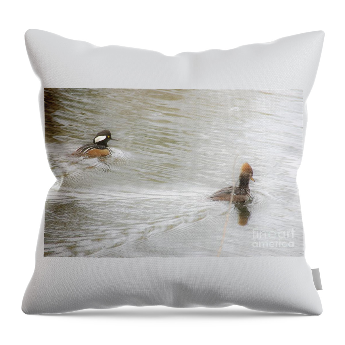Ducks Throw Pillow featuring the photograph Full Steam Ahead by Merle Grenz
