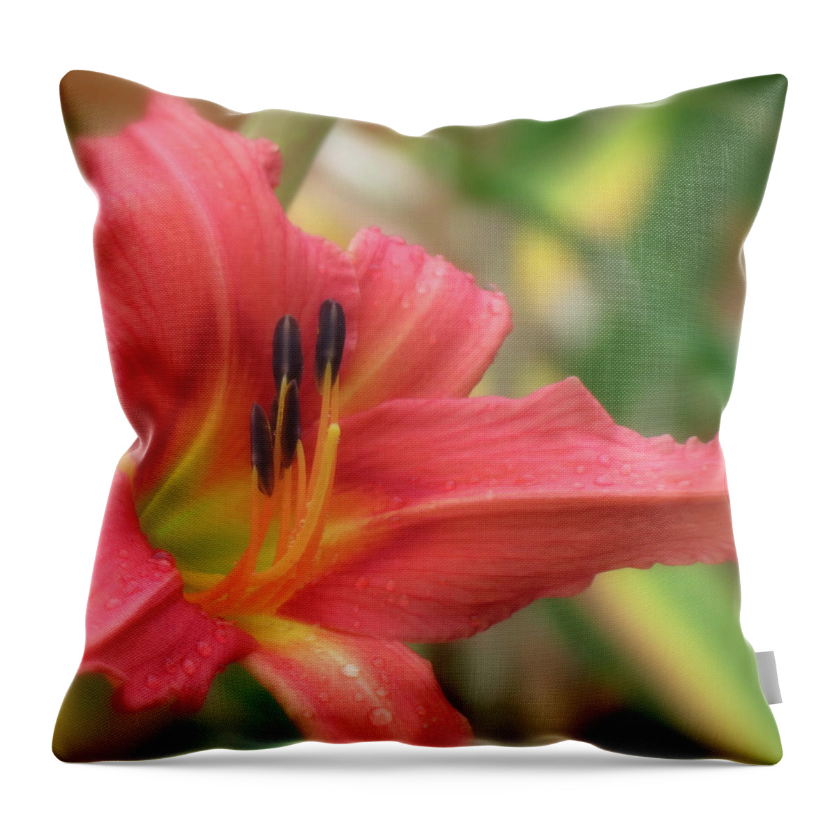 H. Fulva Rosea Throw Pillow featuring the photograph Fulva Rosea Rebloom - Daylily by MTBobbins Photography