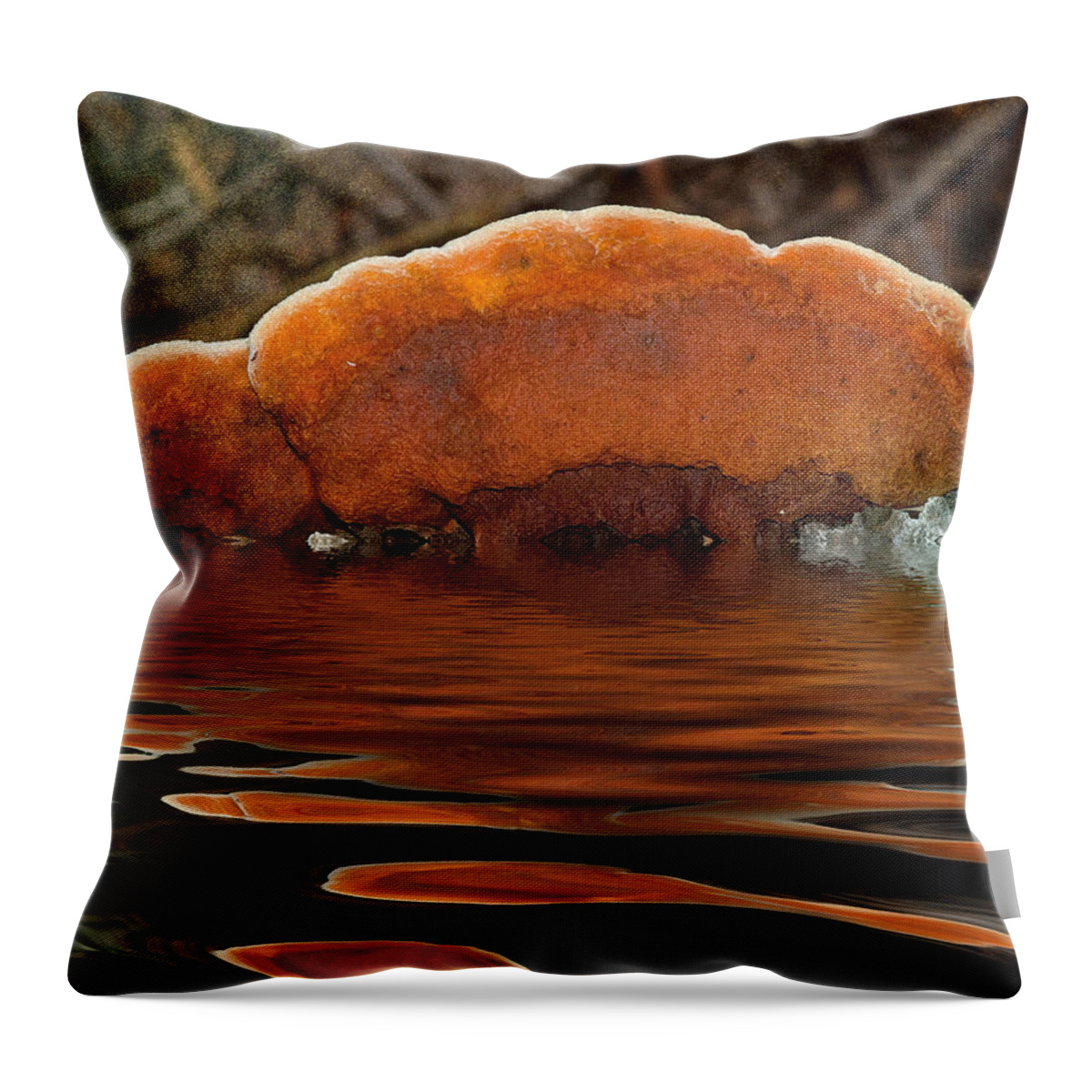 Fungus Throw Pillow featuring the photograph Fungiflection by WB Johnston