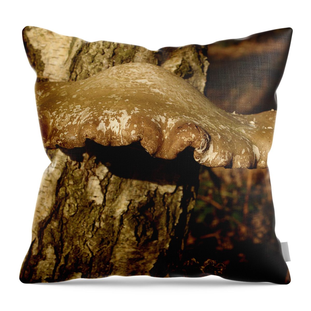Fungi Throw Pillow featuring the photograph Fungus On Silver Birch by Adrian Wale