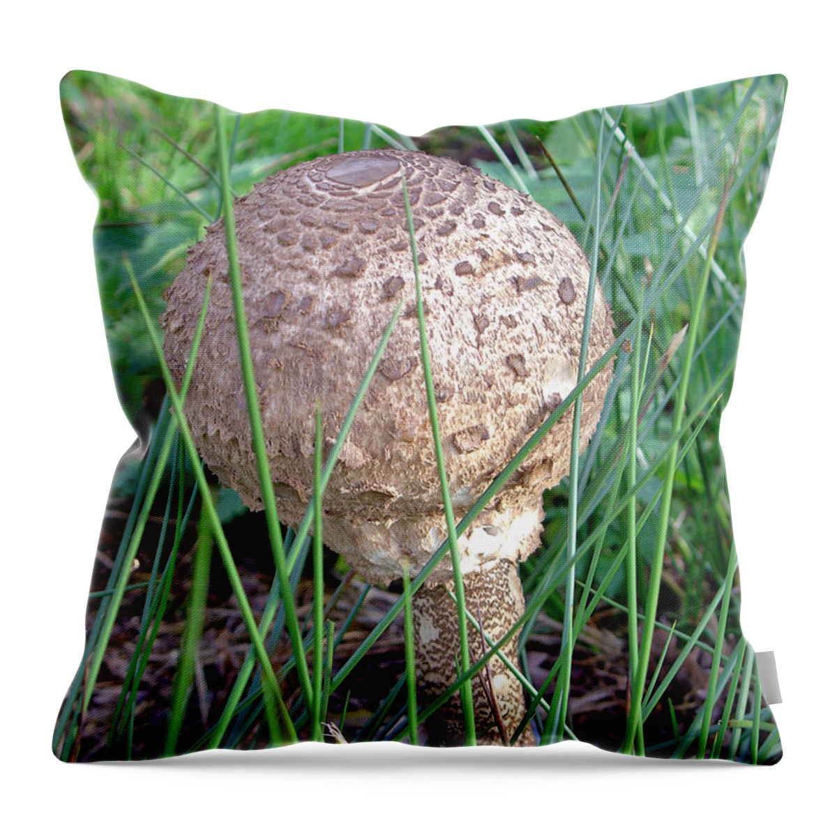 Europe Throw Pillow featuring the photograph Funky Fungi  by Rod Johnson