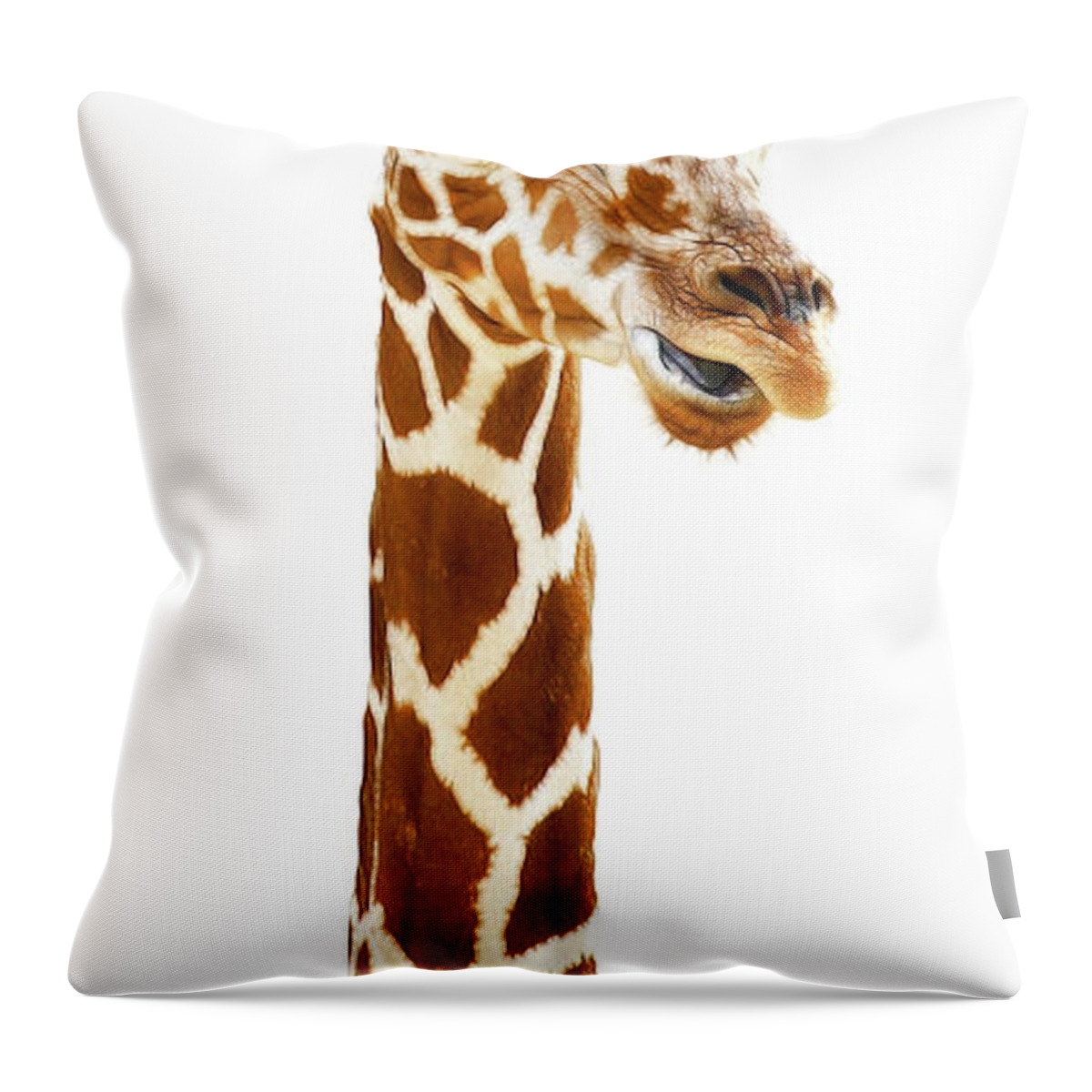 Giraffe Throw Pillow featuring the photograph Funny Giraffe by Athena Mckinzie
