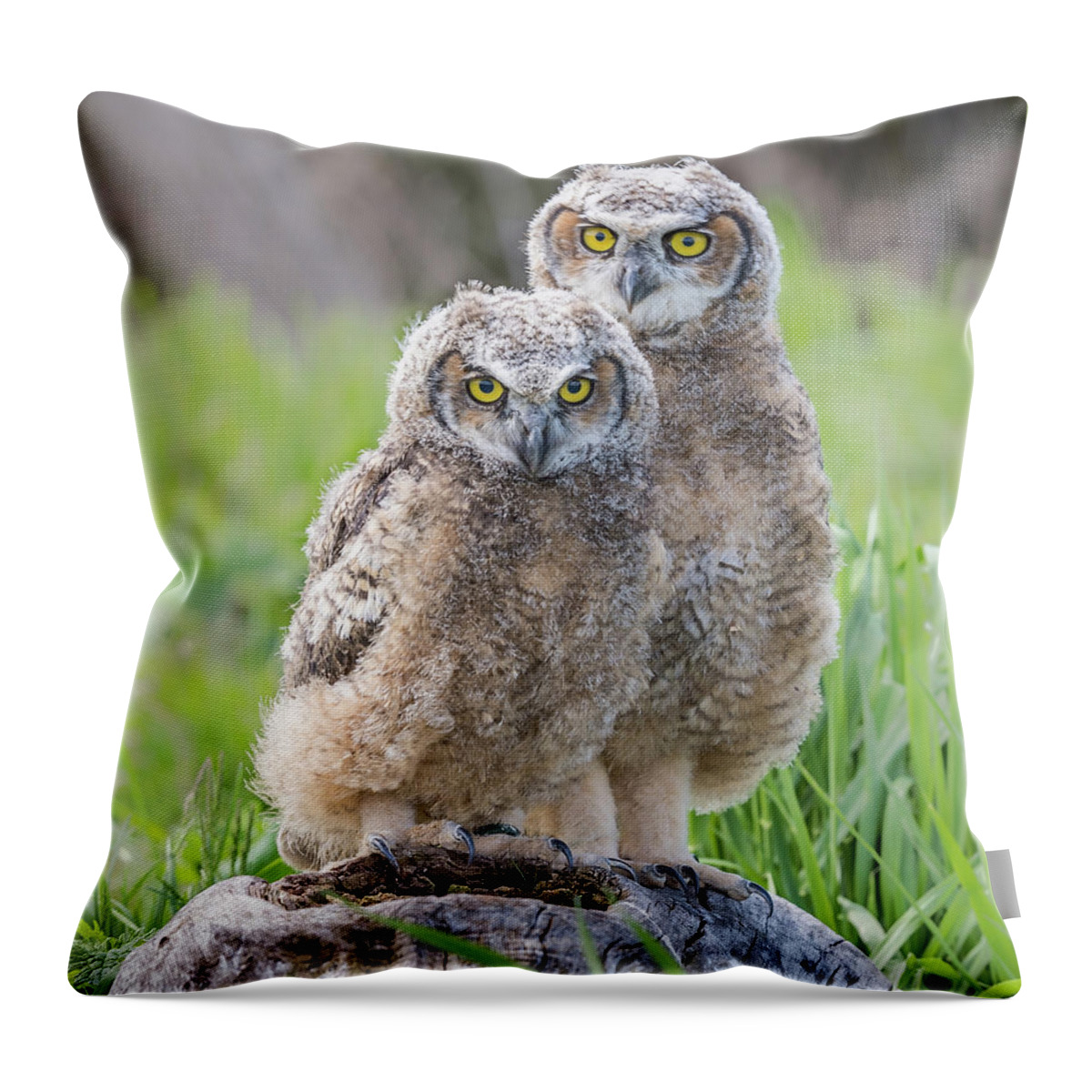 Nature Throw Pillow featuring the photograph Furrballs by Ian Sempowski