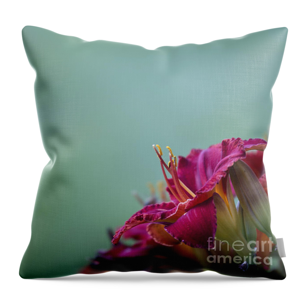 Fuchsia Throw Pillow featuring the photograph Fuchsia in Bloom by Andrea Silies