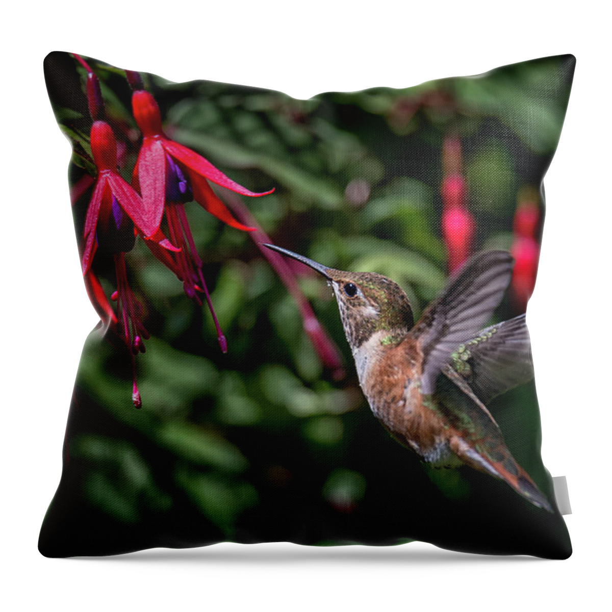 Hummingbird Throw Pillow featuring the photograph Fuschia by Randy Hall