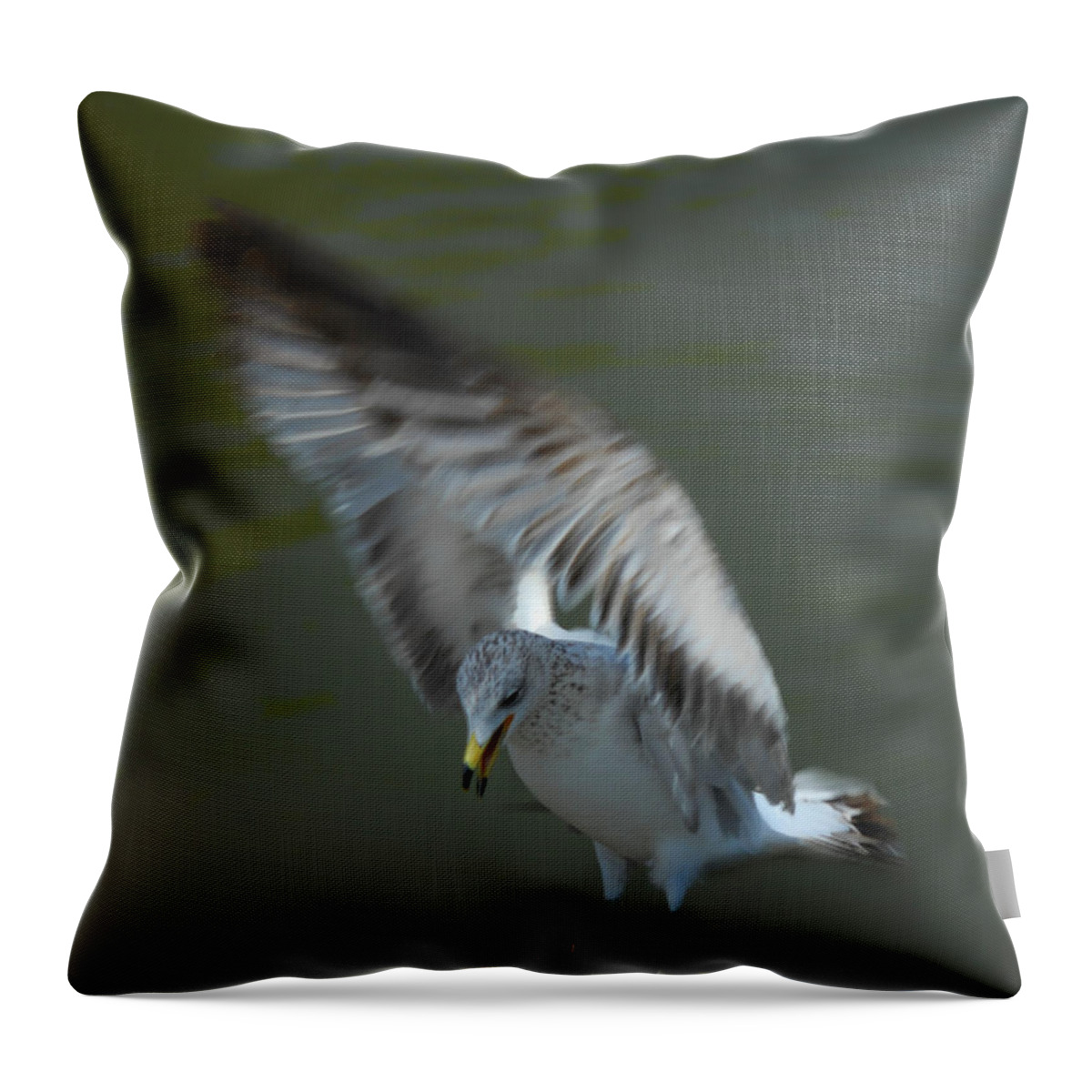 Seagull Throw Pillow featuring the photograph Gabriel The Gull by Donna Blackhall