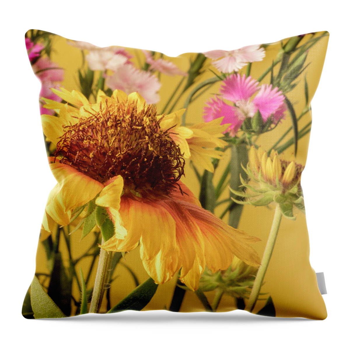 Gaillardia's Throw Pillow featuring the photograph Gaillardia and Dianthus by Richard Rizzo