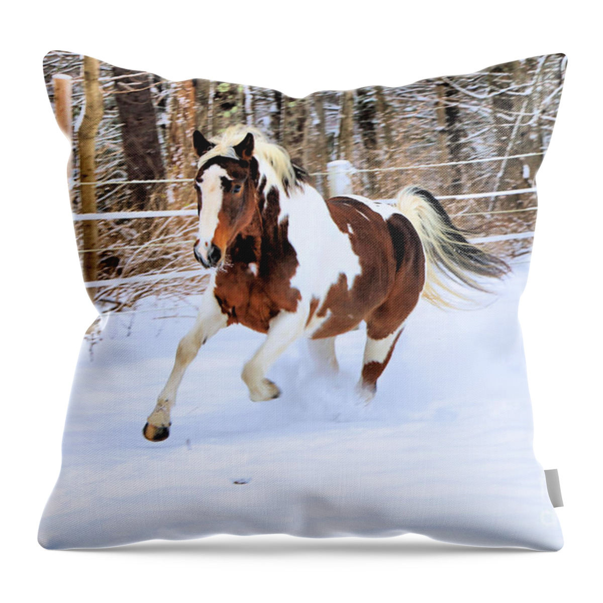 Hazel Throw Pillow featuring the photograph Galloping in the Snow by Elizabeth Dow