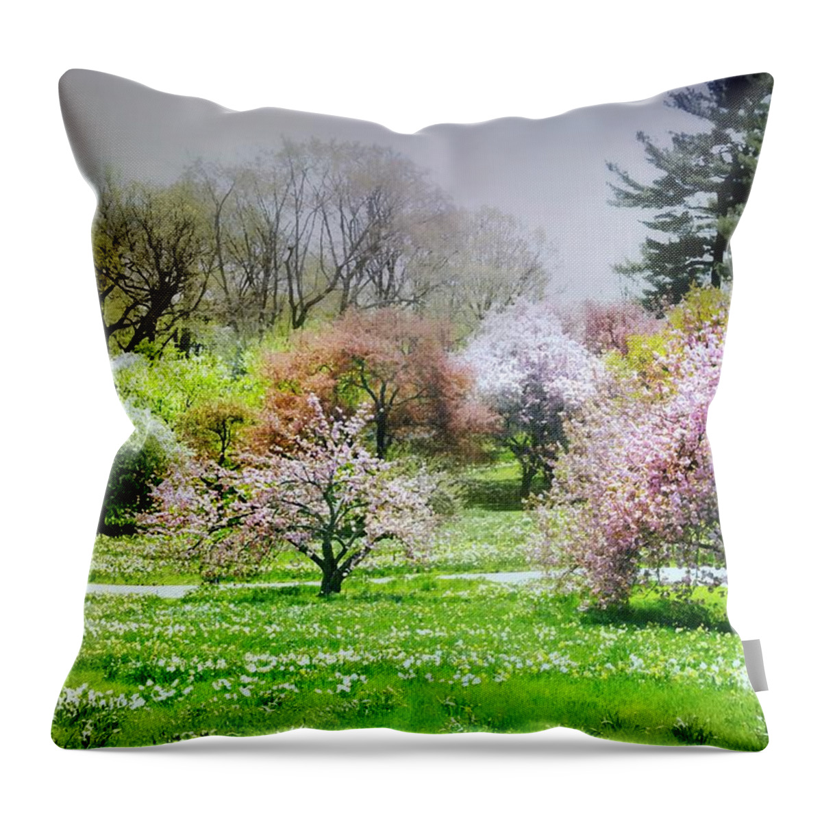 Nybg Throw Pillow featuring the photograph Garden Canvas by Diana Angstadt